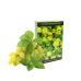 Тютюн Buta Gold Grape Mint (Виноград М'ята, 50 г)