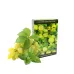 Тютюн Buta Gold Grape Mint (Виноград М'ята, 50 г)