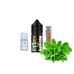 Набір для самозамішування In Bottle Salt Spearmint (М'ята, 50 мг, 30 мл)