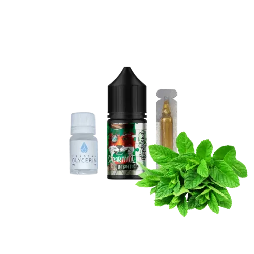 Набір для самозамішування In Bottle Salt Spearmint (М'ята, 50 мг, 30 мл)