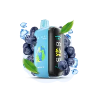 Elf Bar Raya D3 25000 Blueberry Ice (Чорниця Лід) Одноразовий POD