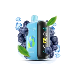 Elf Bar Raya D3 25000 Blueberry Ice (Чорниця Лід) Одноразовий POD