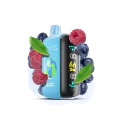 Elf Bar Raya D3 25000 Blueberry Raspberry (Чорниця Малина) Одноразовий POD