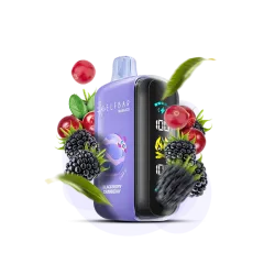 Elf Bar Raya D3 25000 Blackberry Cranberry (Ожина Журавлина) Одноразовий POD